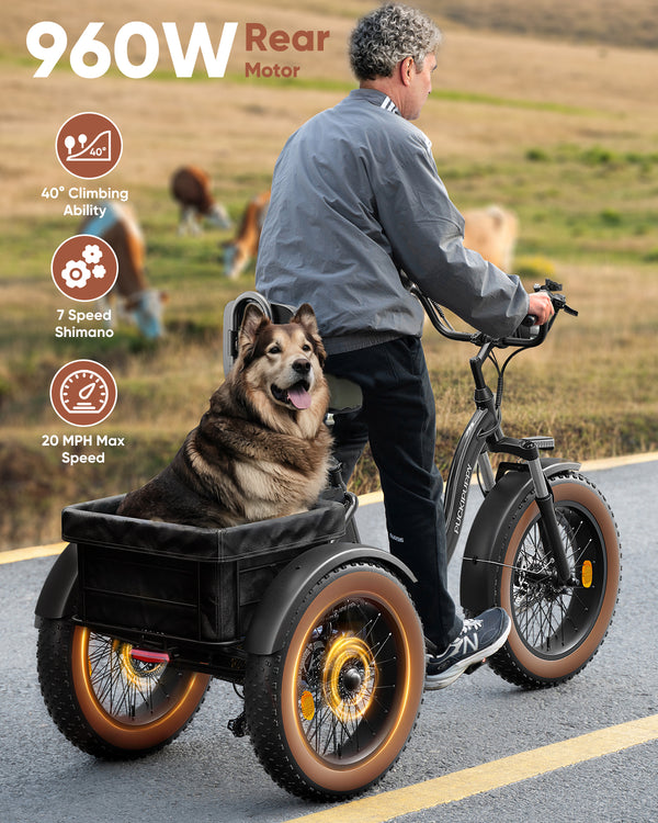 PUCKIPUPPY Electric Tricycle for Adults 960W Rear Motor 55Miles Range 20mph Max Speed 20