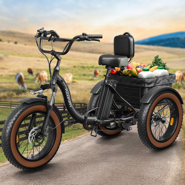 PUCKIPUPPY Electric Tricycle for Adults 960W Rear Motor 55Miles Range 20mph Max Speed 20