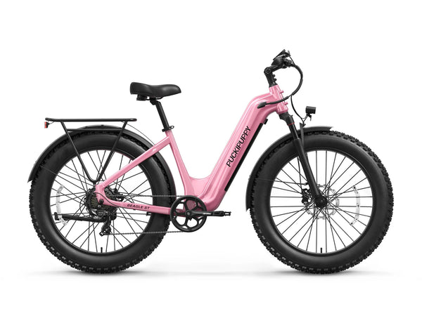 PUCKIPUPPY 960W Peak Electric Bike for Adults Step Through E-Bike 28mph Max Speed 60Miles Range 26